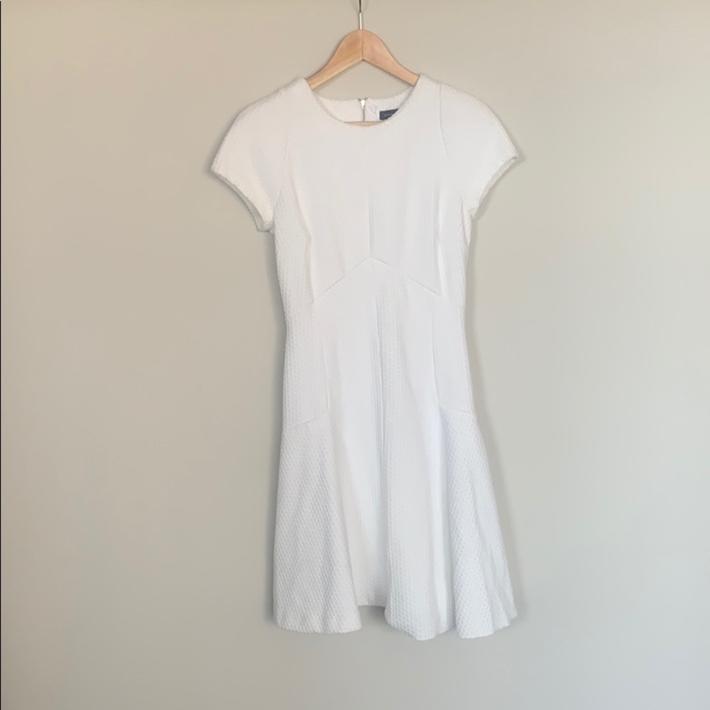 Banana Republic Drop Waist Dress